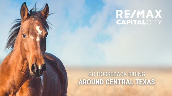 Horseback Riding Central Texas